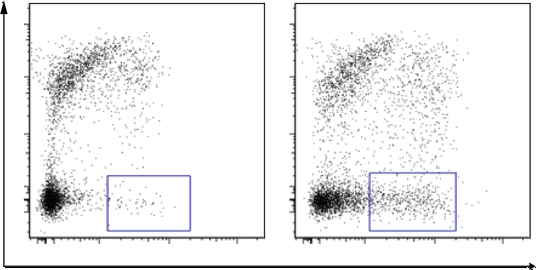 Commensal-specific B cells